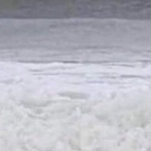 Meet your Posher, Jack